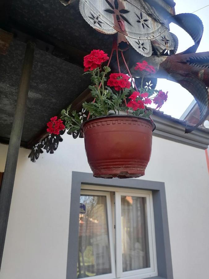 Etno Kuca Badejevic Villa Plavna Exterior photo